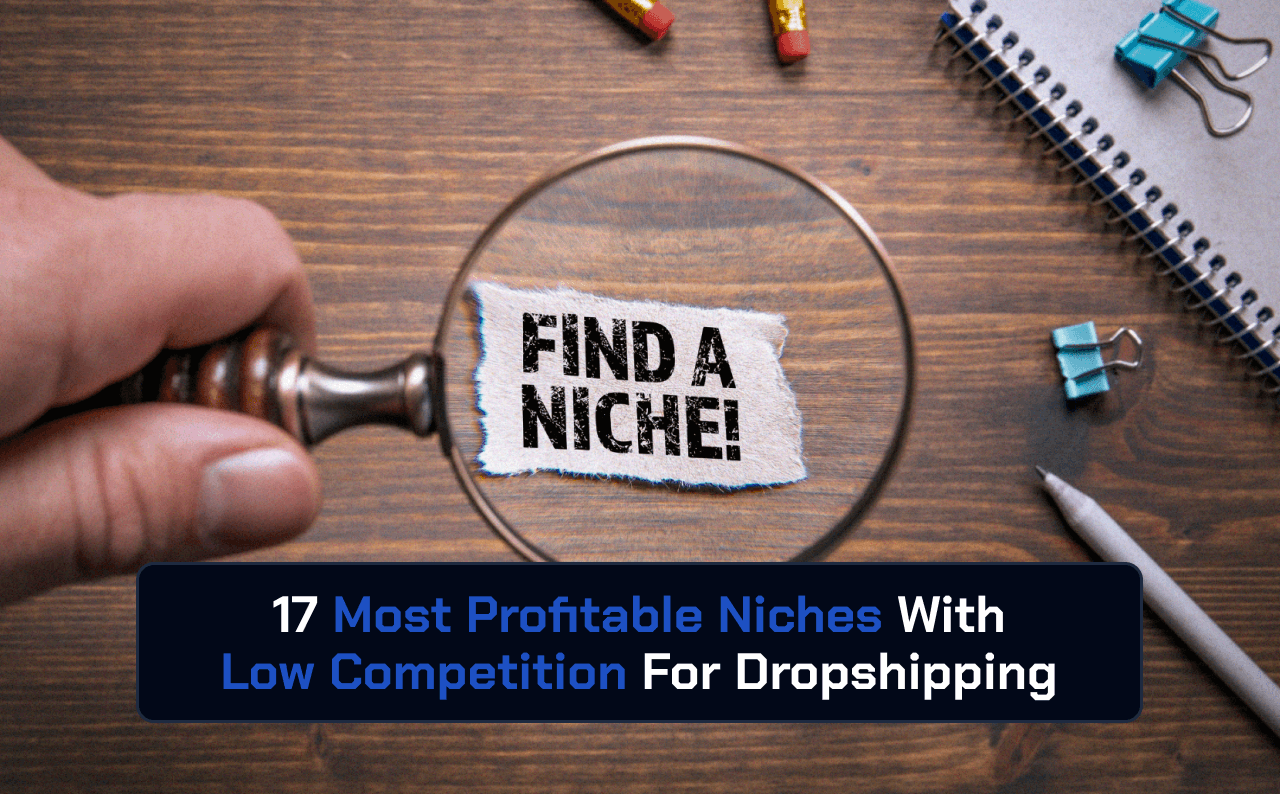 17 Most Profitable Dropshipping Niches in 2024